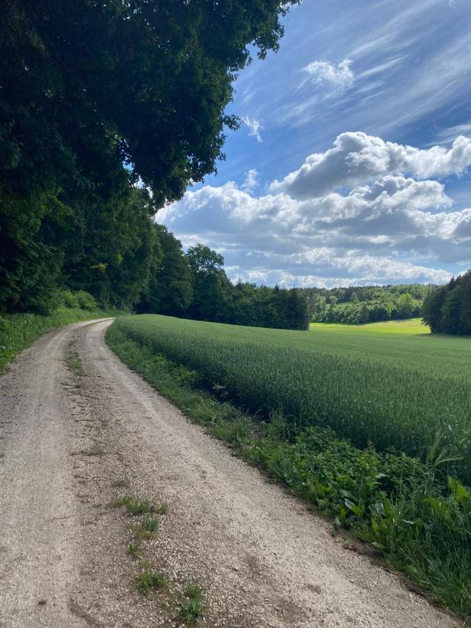 Ferienwohnung Zur Roni Treuchtlingen Exteriör bild