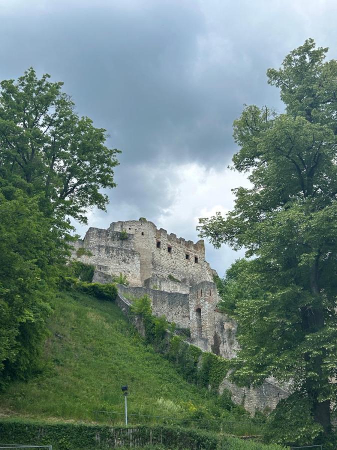 Ferienwohnung Zur Roni Treuchtlingen Exteriör bild