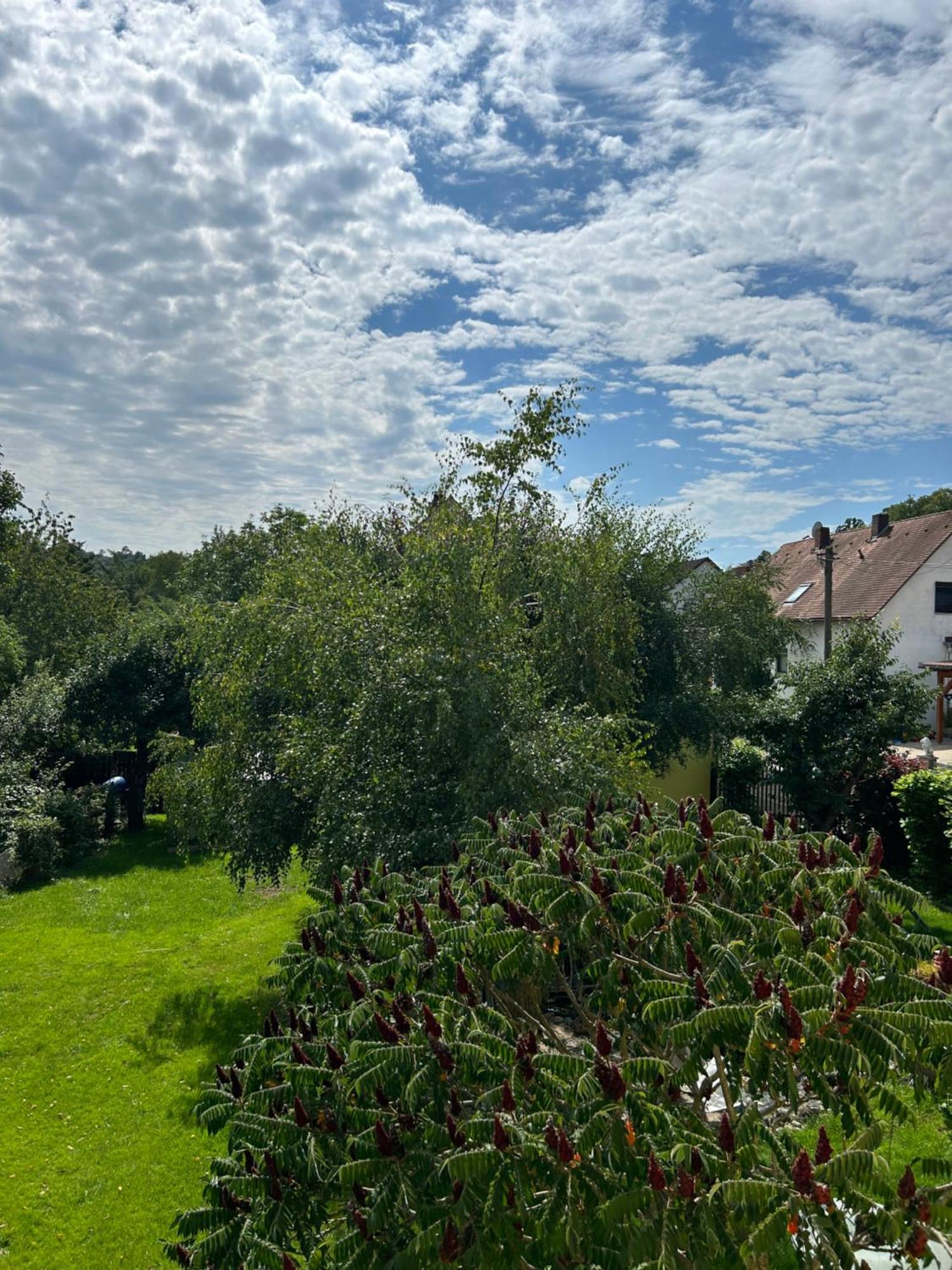 Ferienwohnung Zur Roni Treuchtlingen Exteriör bild